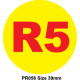 R5 - 1000 Full colour