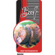Beef - KEEP REFRIGERATED - 1000 Full colour