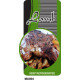 Lamb - KEEP REFRIGERATED - 1000 Full colour