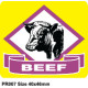 BEEF - 1000 Full colour